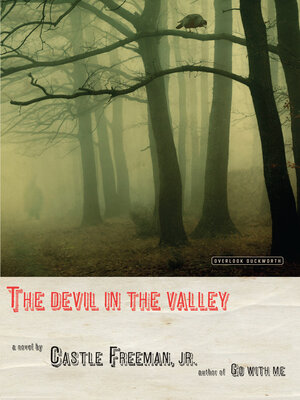 The Devil in the Valley - ebook